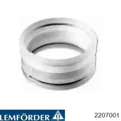  22070 Lemforder