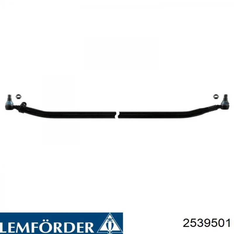 2539501 Lemforder