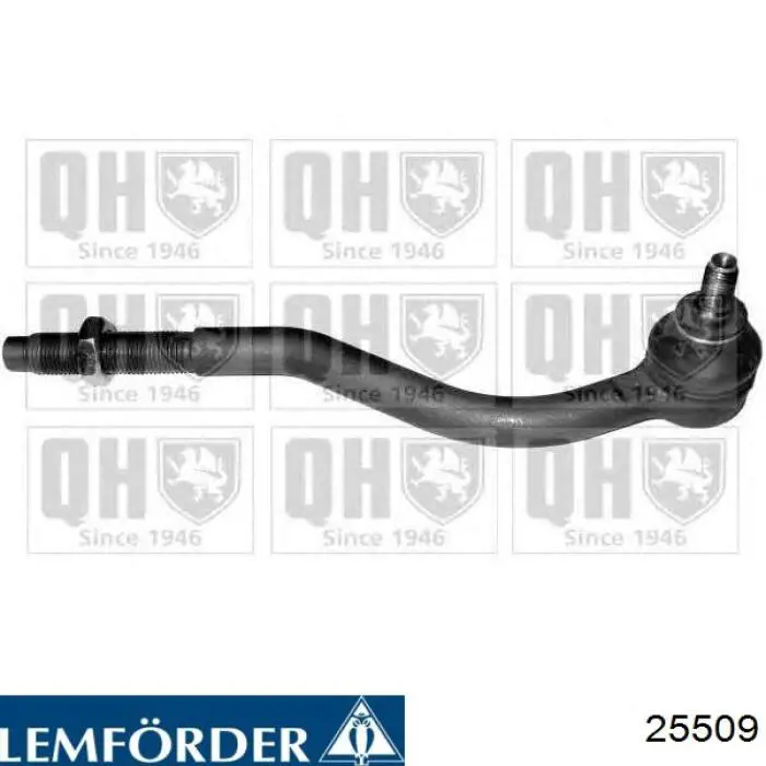 25509 Lemforder Наружный наконечник рулевой тяги