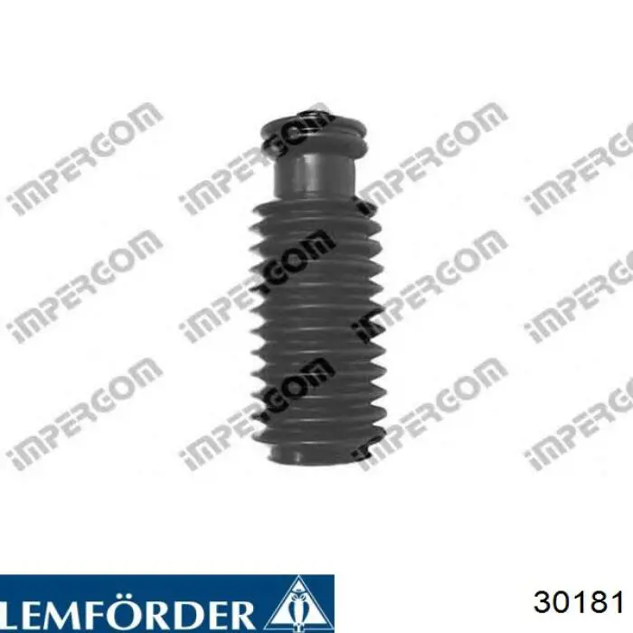 30181 Lemforder