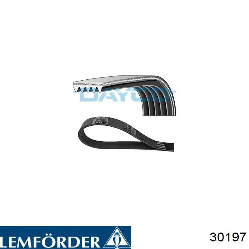 30197 Lemforder Пыльник рулевой тяги