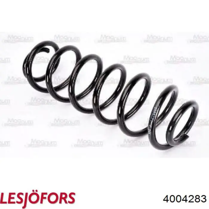 Передняя пружина 993395 Sachs