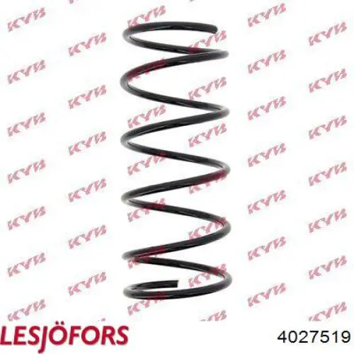 Купить 4027519 Lesjofors Винтовая пружина подвеска