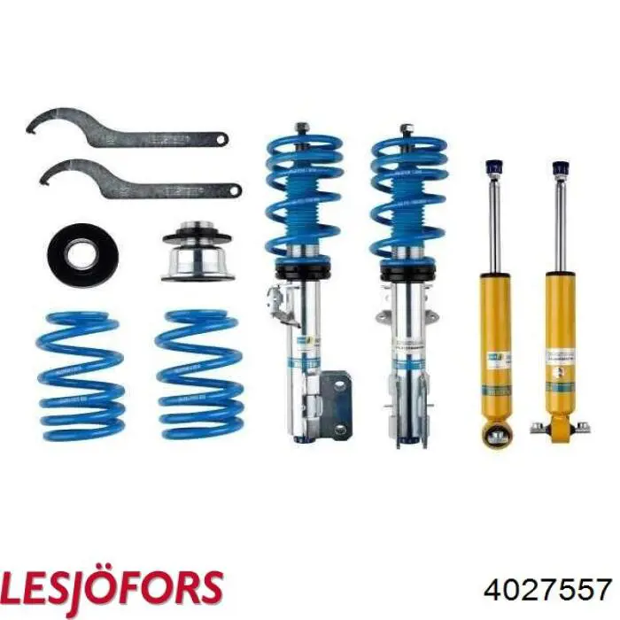 Купить 4027557 Lesjofors Винтовая пружина подвеска