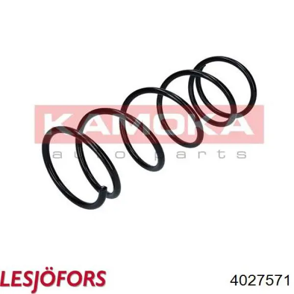 Купить 4027571 Lesjofors Винтовая пружина подвеска
