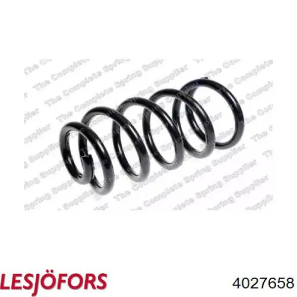 Купить SS1300 DP Group Винтовая пружина подвеска
