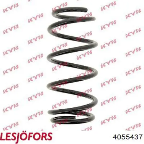 Купить 4055437 Lesjofors Пружина передняя левая