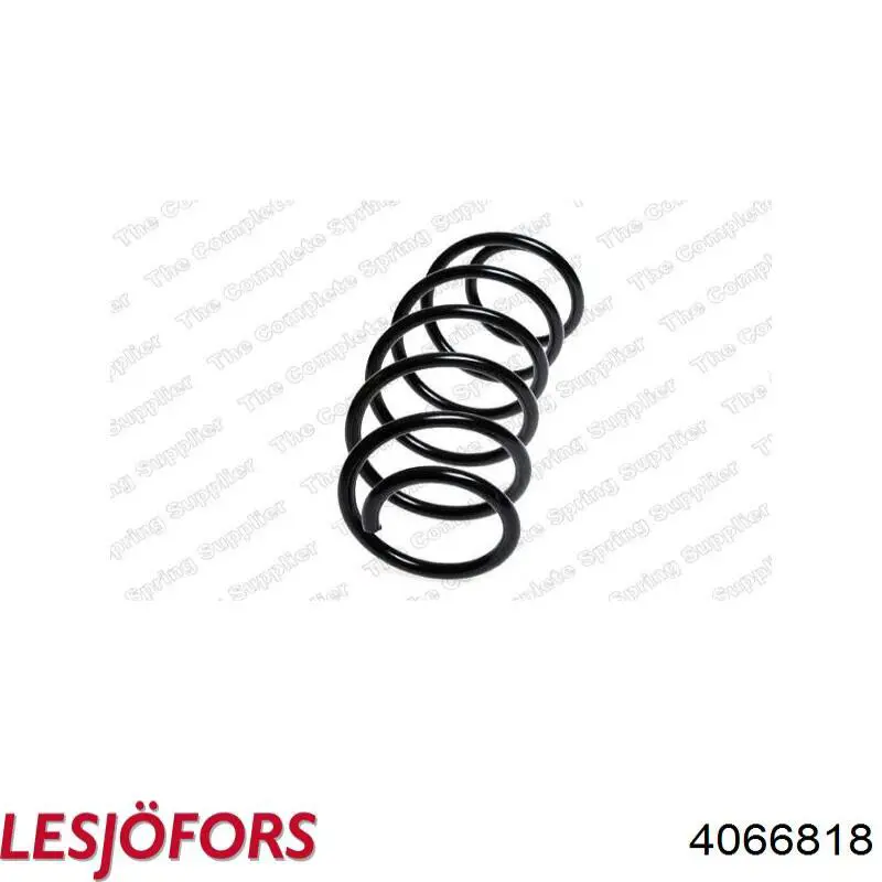Передняя пружина 993049 Sachs
