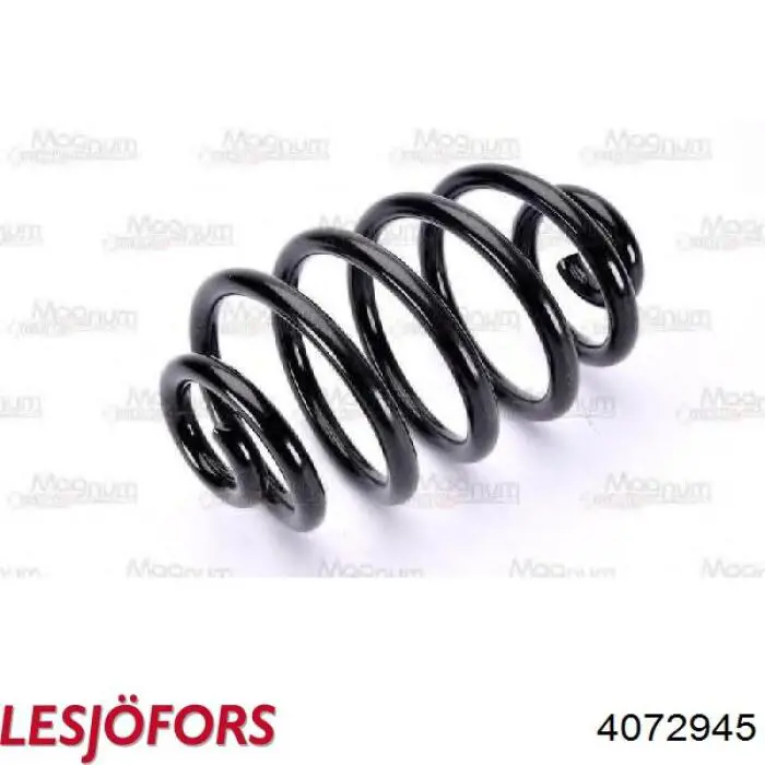 Купить 4072945 Lesjofors Винтовая пружина подвеска