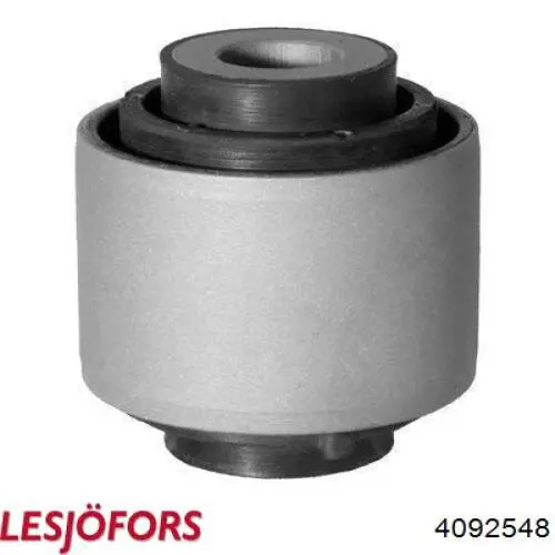 4092548 Lesjofors Пружина передней подвески