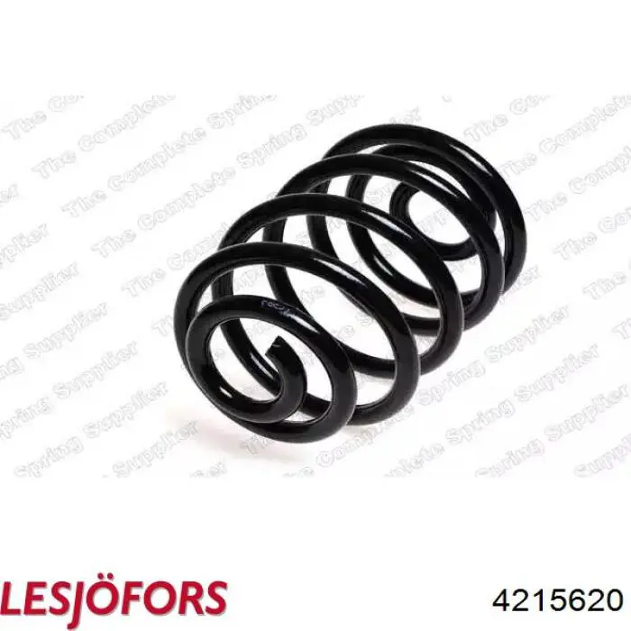 Пружина задняя GKN-Spidan 86714