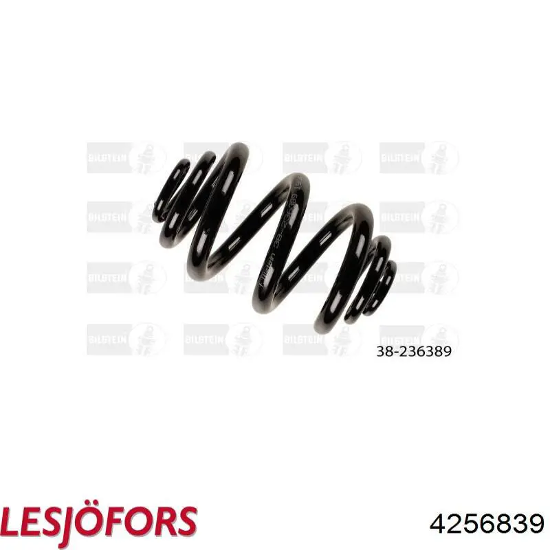 4256839 Lesjofors Пружина подвески задняя