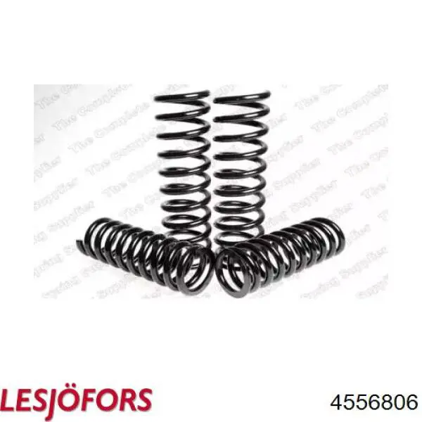 4556806 Lesjofors 