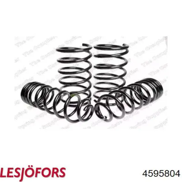 4595804 Lesjofors 