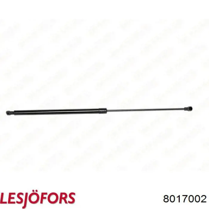 Амортизатор капота 7000210541 Renault (RVI)