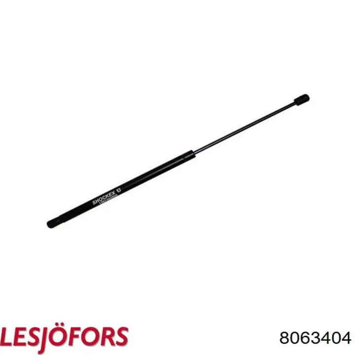 8063404 Lesjofors
