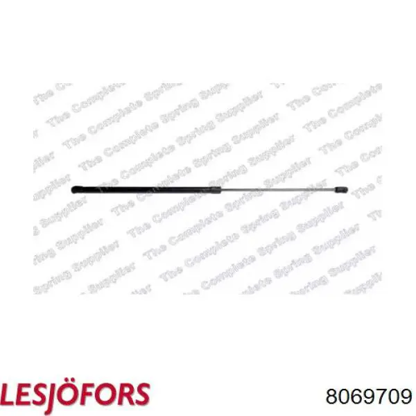 Амортизатор капота газовый Lesjofors 8069709 цена, от 19.70 USD