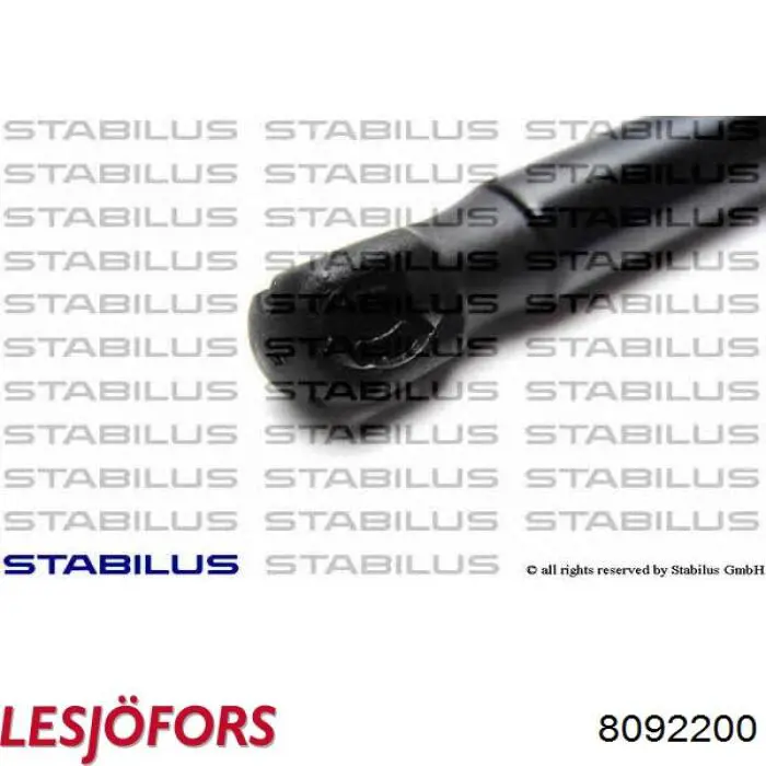 Упор капота Тесла Модел C 