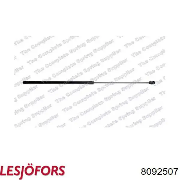 Амортизатор капота правый Lesjofors 8092507 цена, от 17.40 USD