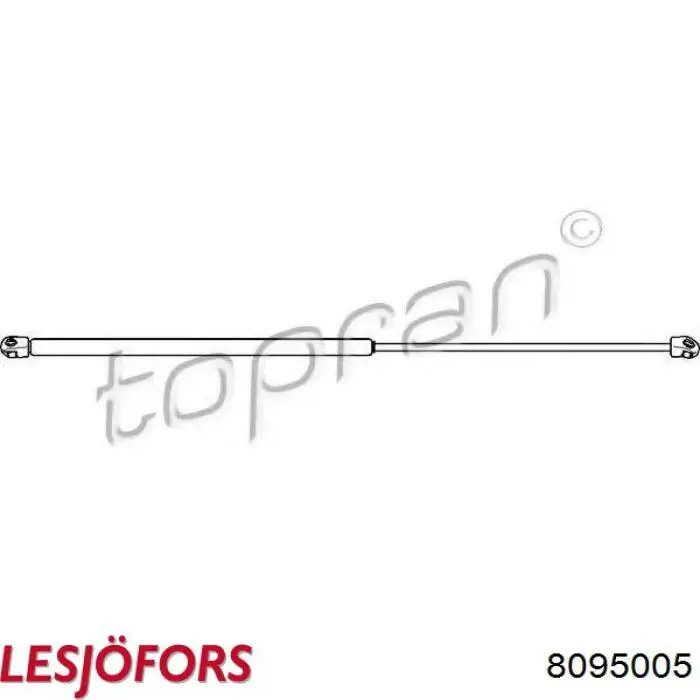 Амортизатор капота газовый Lesjofors 8095005 цена, от 15.96 USD