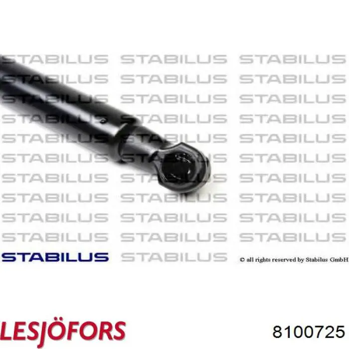 Амортизатор задней двери Lesjofors 8100725 цена, от 15.61 USD
