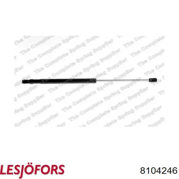 Амортизатор задней двери Lesjofors 8104246 цена, от 10.47 USD
