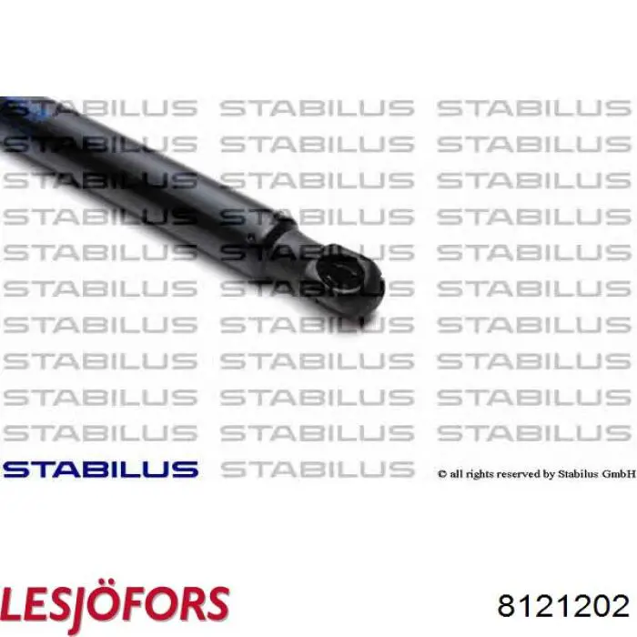 Амортизатор задней двери Lesjofors 8121202 цена, от 18.32 USD