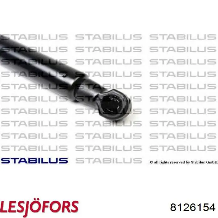Амортизатор багажника 47063 Febi