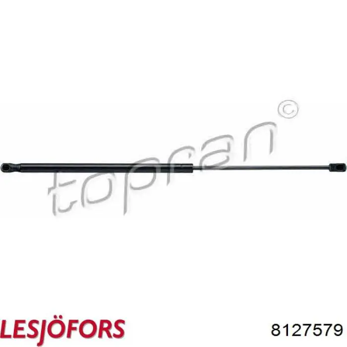 Амортизатор багажника 778903 Stabilus