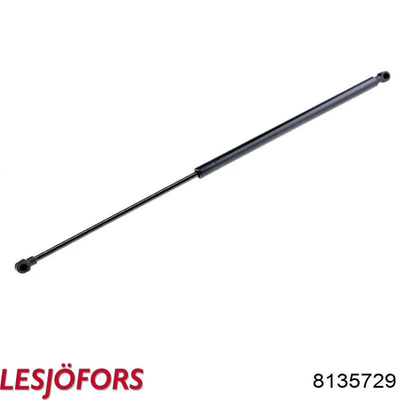 Амортизатор задней двери Lesjofors 8135729 цена, от 14.07 USD