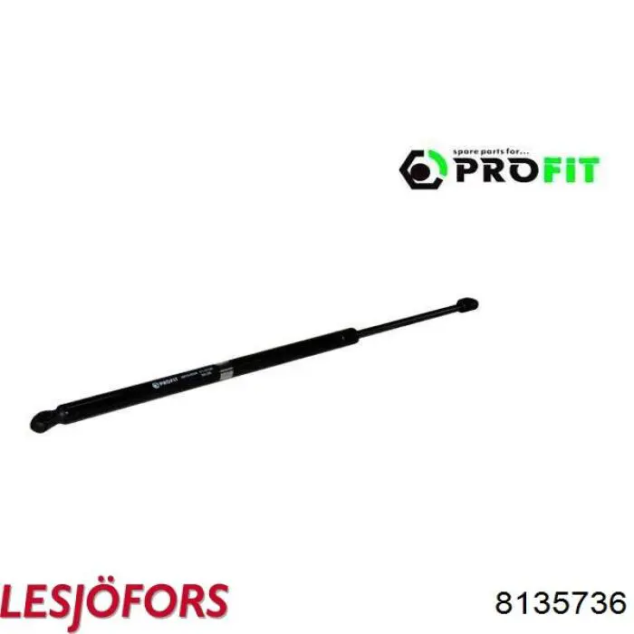 Амортизатор задней двери Lesjofors 8135736 цена, от 13.91 USD
