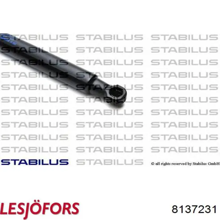 Амортизатор задней двери Lesjofors 8137231 цена, от 5.68 USD
