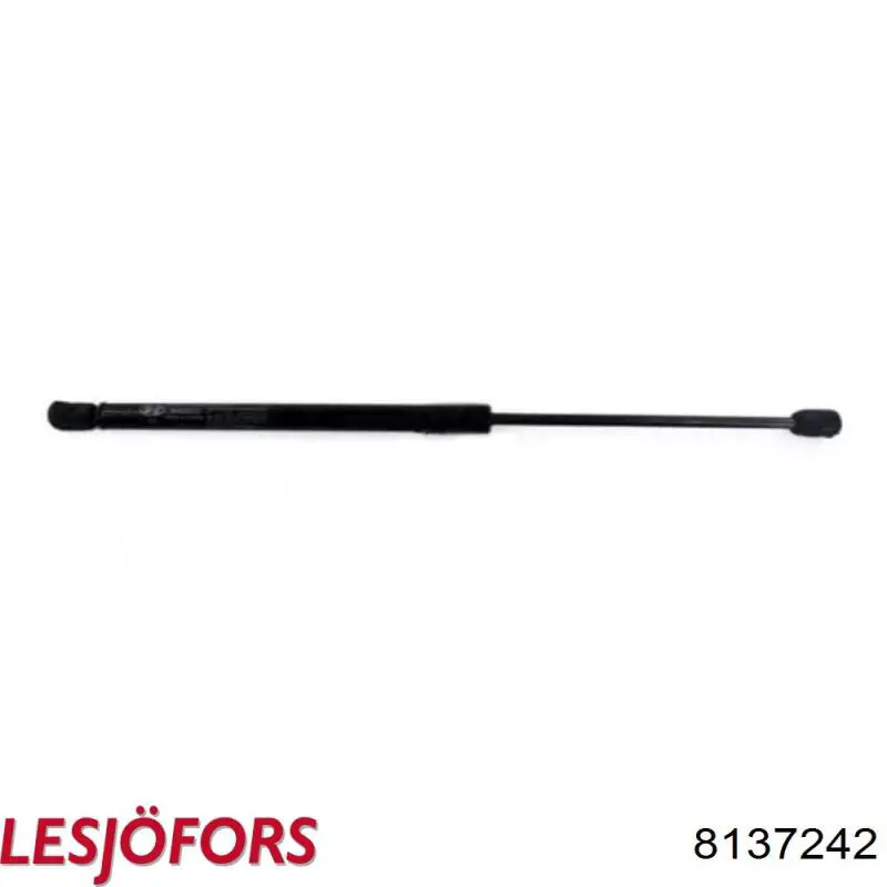 Амортизатор задней двери Lesjofors 8137242 цена, от 14.25 USD