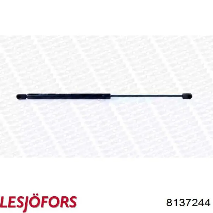 Купить 8137244 Lesjofors Амортизатор двери багажника