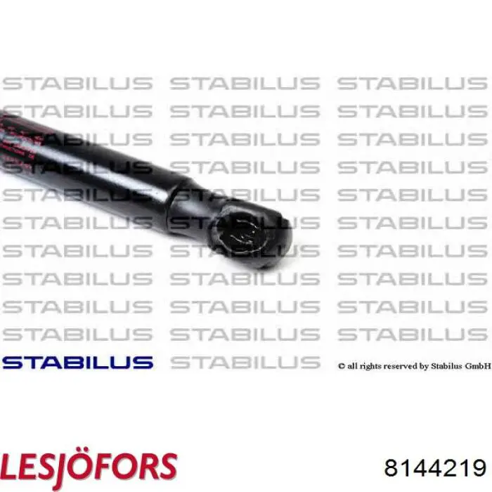 Амортизатор задней двери Lesjofors 8144219 цена, от 12.50 USD