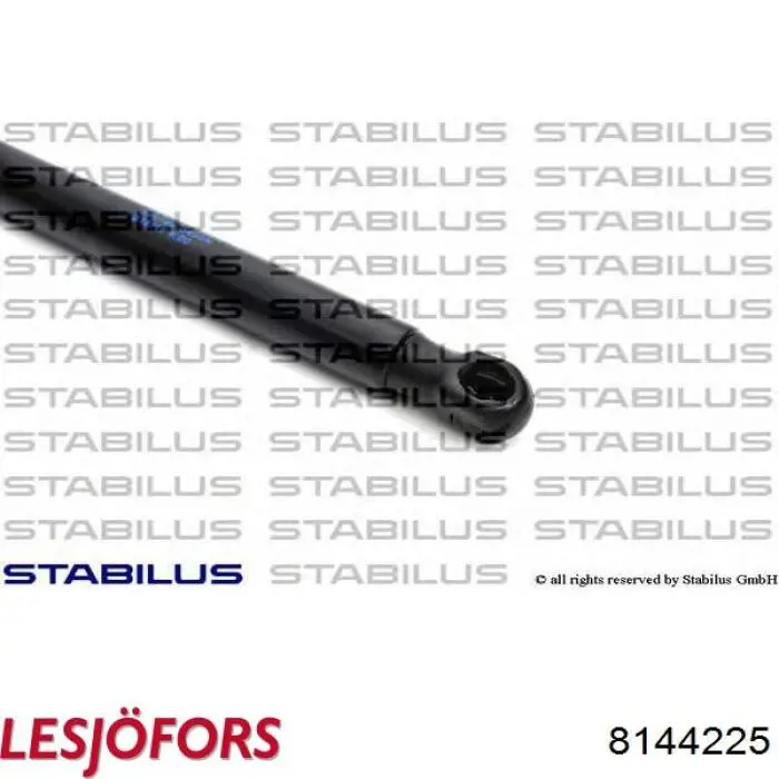 Амортизатор задней двери Lesjofors 8144225 цена, от 25.74 USD