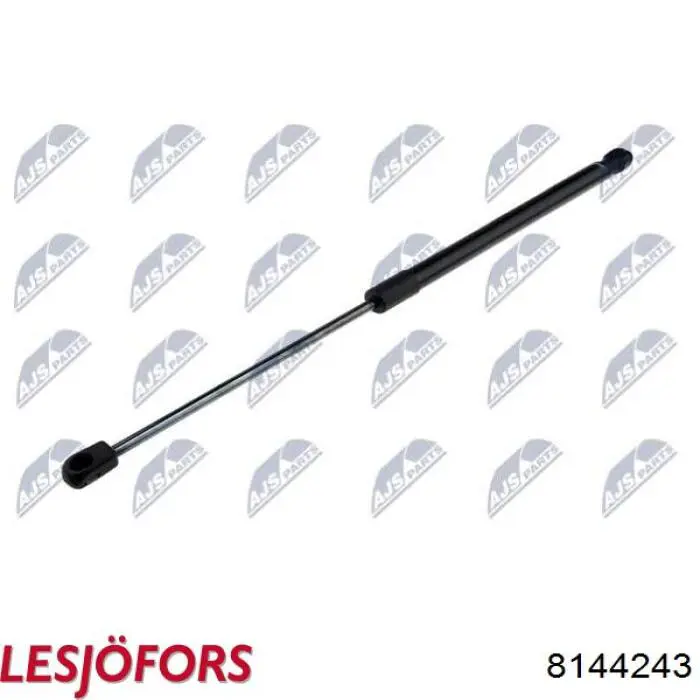 Амортизатор задней двери Lesjofors 8144243 цена, от 16.65 USD