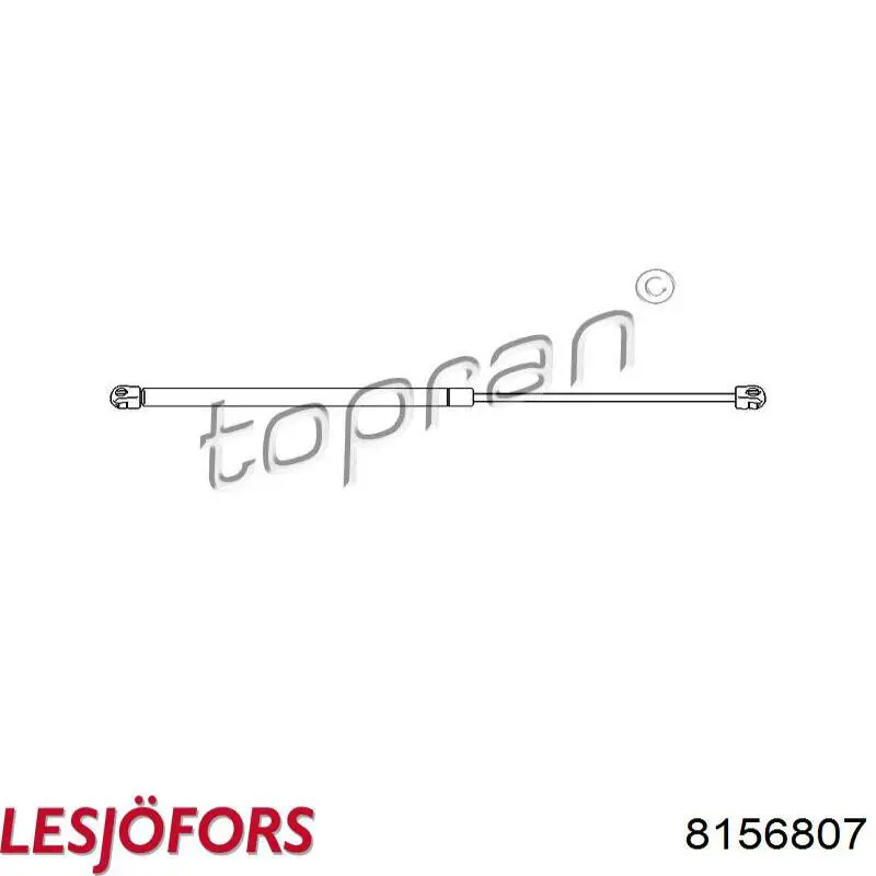 Амортизатор задней двери Lesjofors 8156807 цена, от 11.50 USD