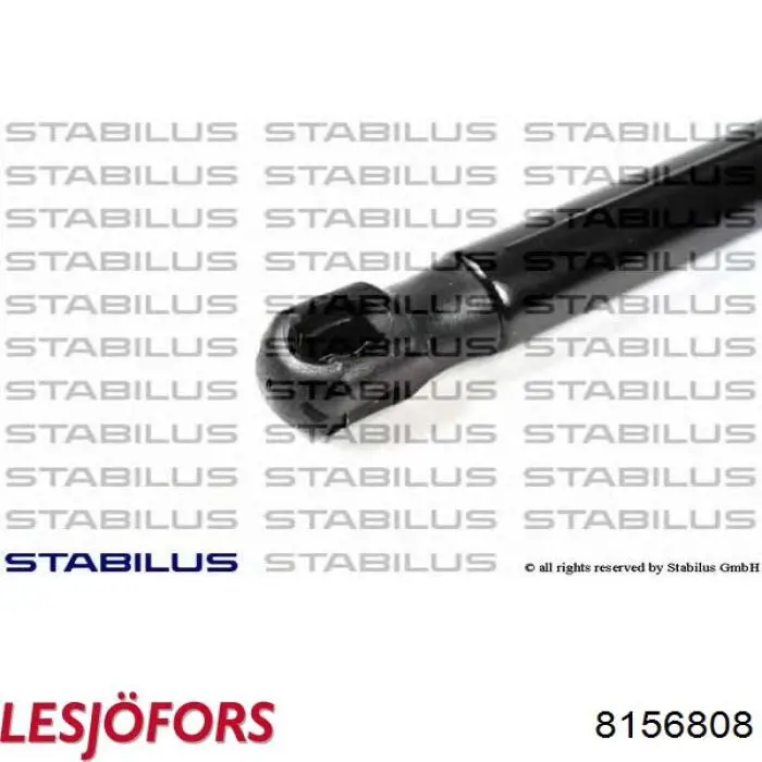 Амортизатор задней двери Lesjofors 8156808 цена, от 14.14 USD