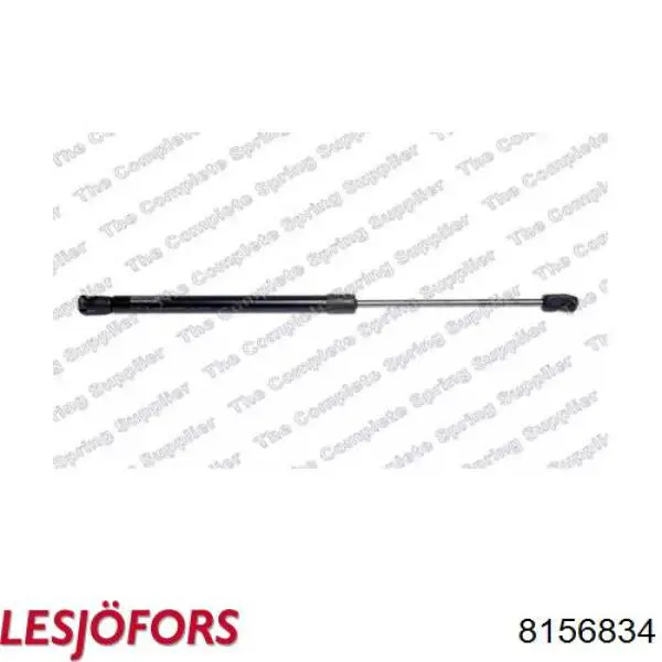 Купить 621648 Stabilus Амортизатор двери багажника