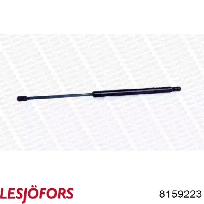 Амортизатор задней двери Lesjofors 8159223 цена, от 6.37 USD