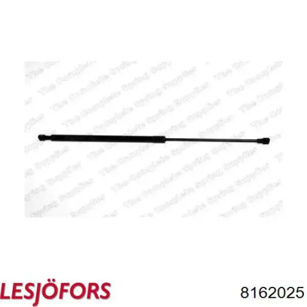 Амортизатор багажника ZS10009 Japan Parts