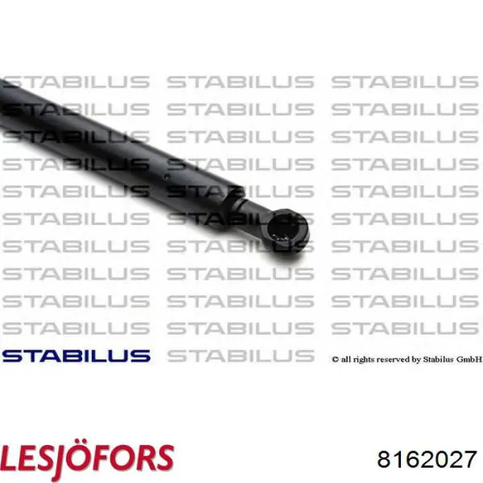 Амортизатор задней двери Lesjofors 8162027 цена, от 20.38 USD