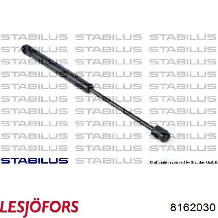 Амортизатор задней двери Lesjofors 8162030 цена, от 10.87 USD