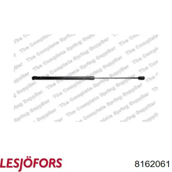 Амортизатор задней двери Lesjofors 8162061 цена, от 16.30 USD