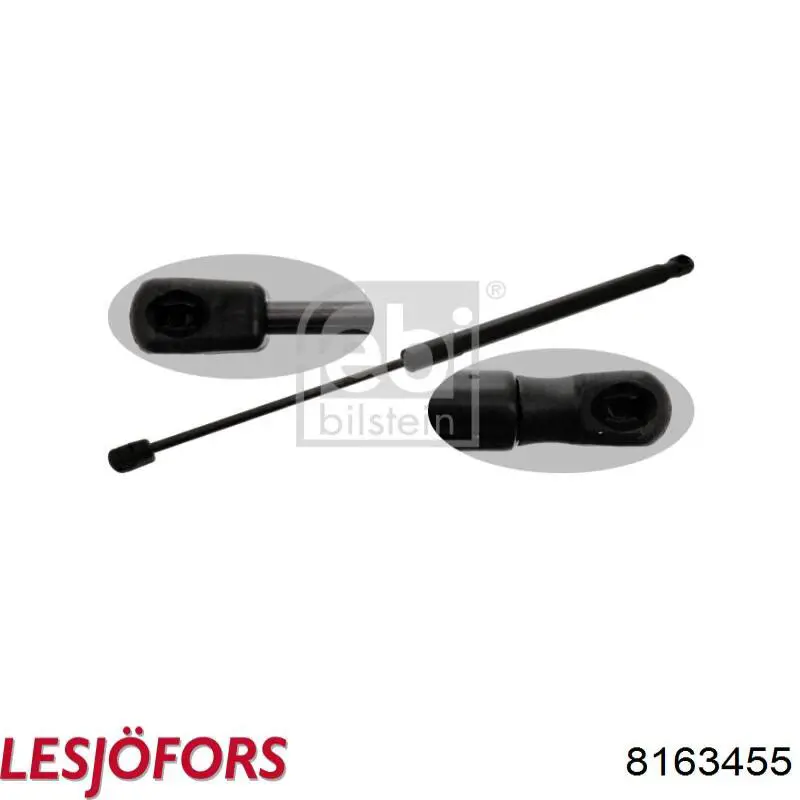 Купить 8163455 Lesjofors Амортизатор двери багажника