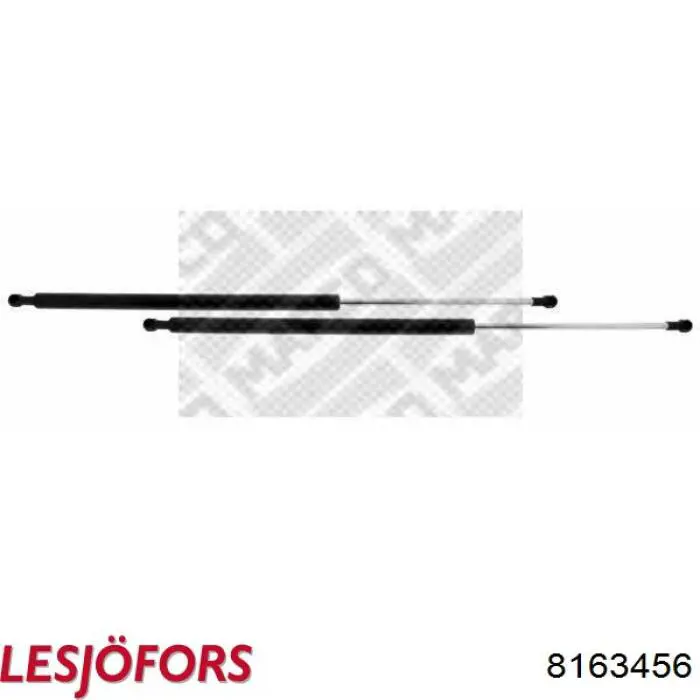 Амортизатор задней двери Lesjofors 8163456 цена, от 10.73 USD