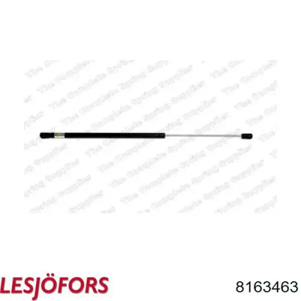 Амортизатор задней двери Lesjofors 8163463 цена, от 13.82 USD