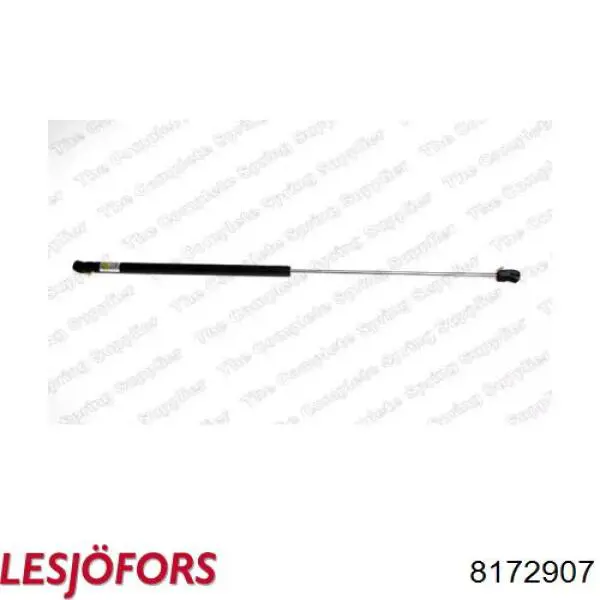 Амортизатор задней двери Renault (RVI) 6025003038