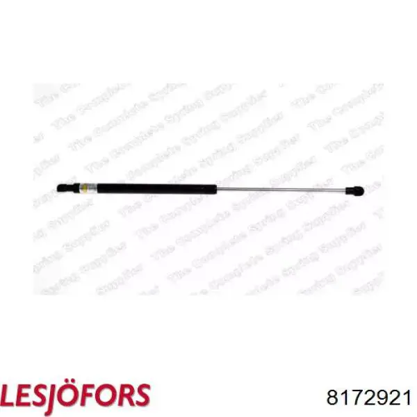 Амортизатор задней двери Lesjofors 8172921 цена, от 5.72 USD